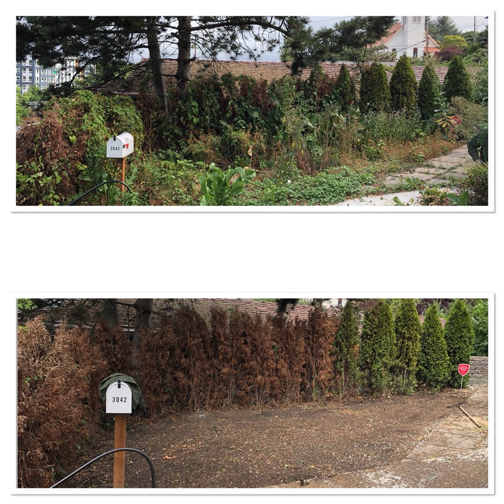 Photo of Royalty Landscaping Services