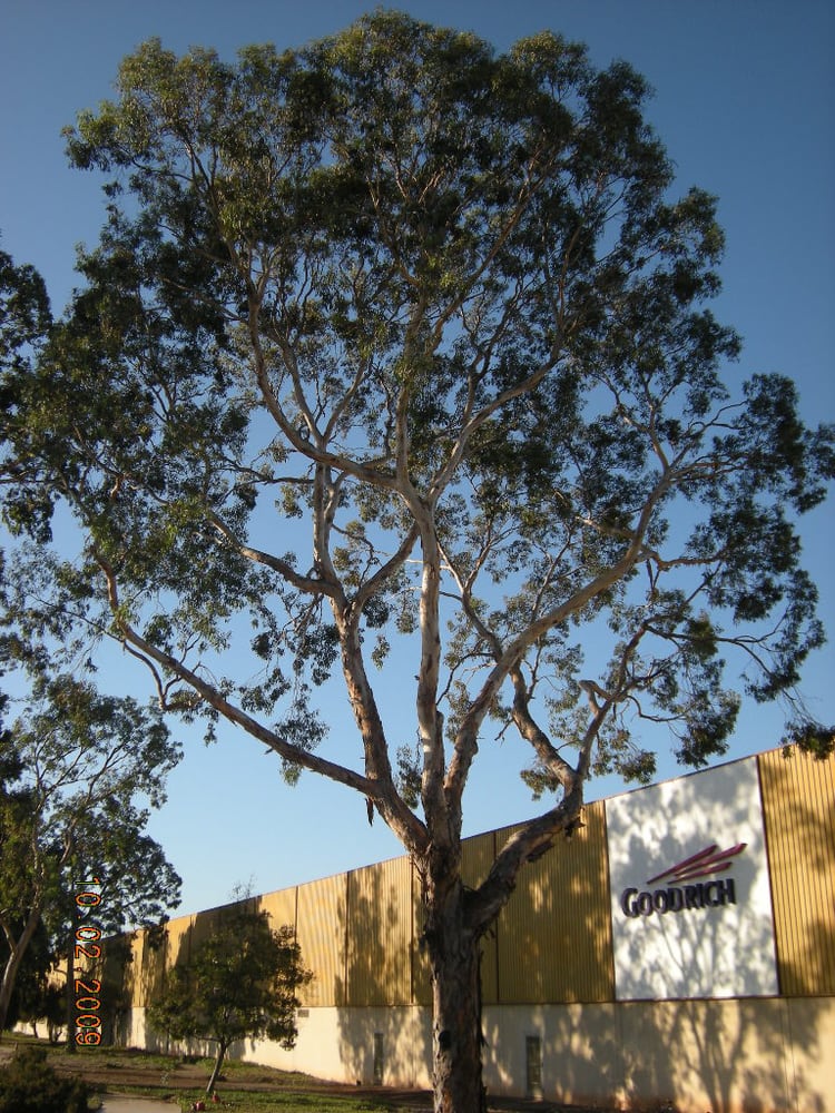 Photo of Westwind Landscape and Tree Service