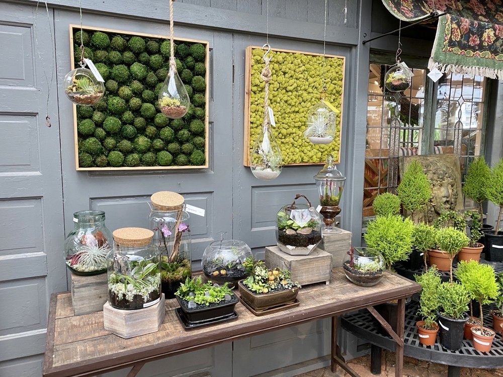 Photo of Cactus & Tropicals