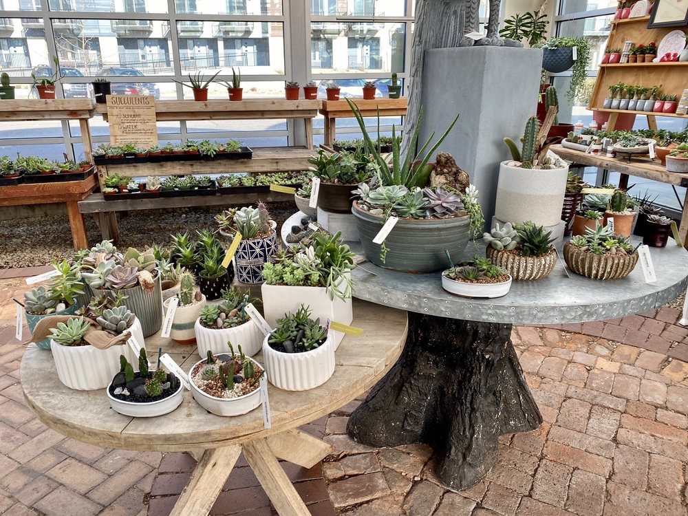 Photo of Cactus & Tropicals
