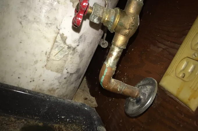 Photo of Master Plumber Rob
