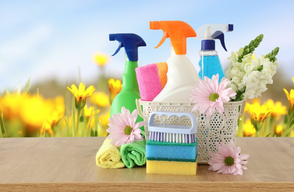 Photo of Nature Maids