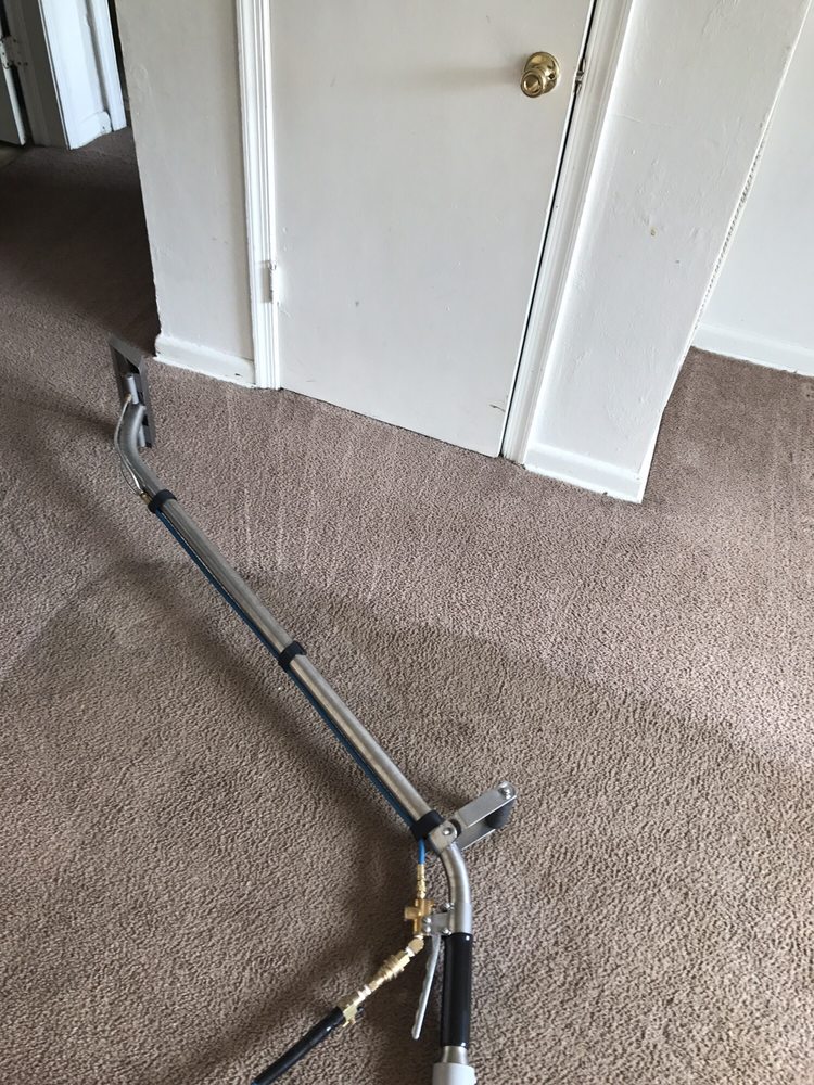 Photo of Terryclean Carpet & Upholstery Care