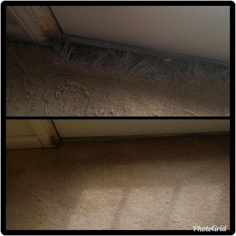 Photo of Terryclean Carpet & Upholstery Care