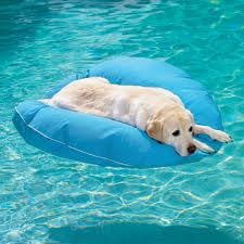Photo of Richards Pool Care