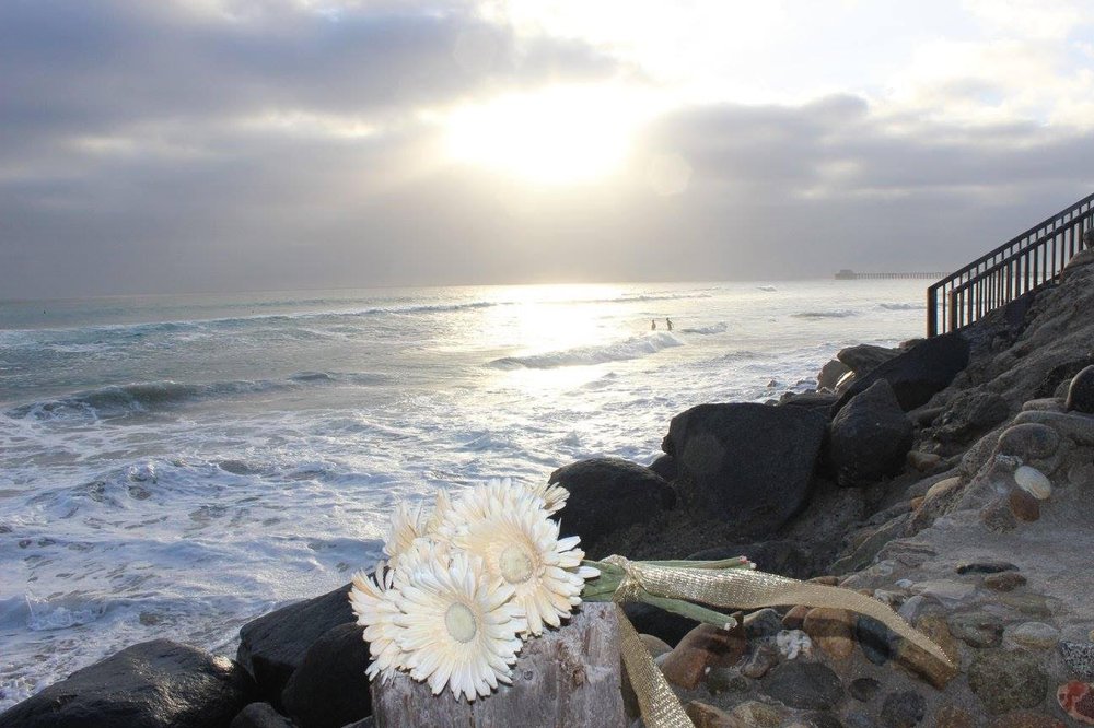 Photo of BeachFront Weddings