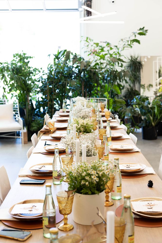 Photo of Plants by Post