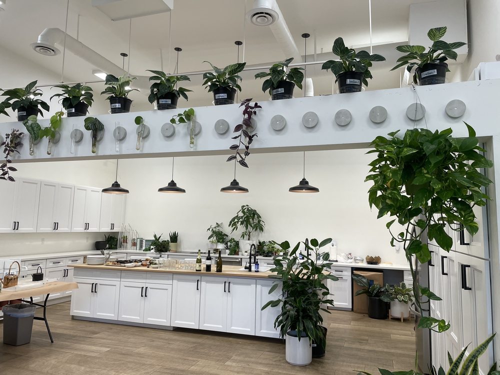 Photo of Plants by Post