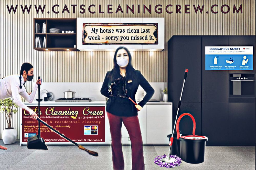 Photo of Cats Cleaning Crew