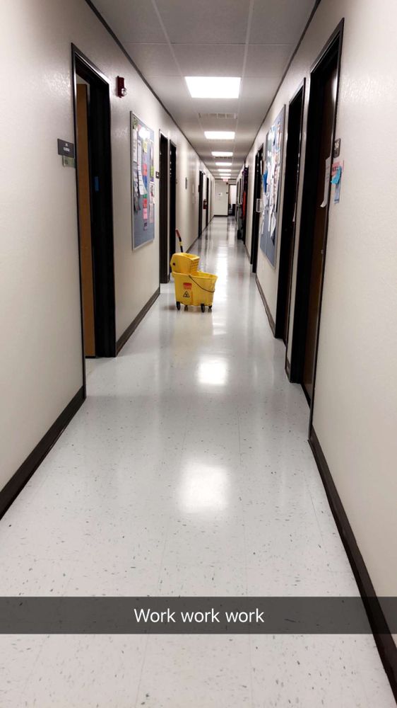 Photo of Cats Cleaning Crew