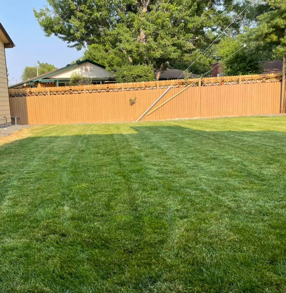 Photo of All Pro Landscaping & Design