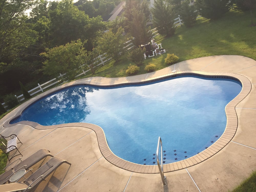 Photo of Dog Days of Summer Pool Service