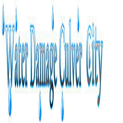 Photo of Water Damage Culver City