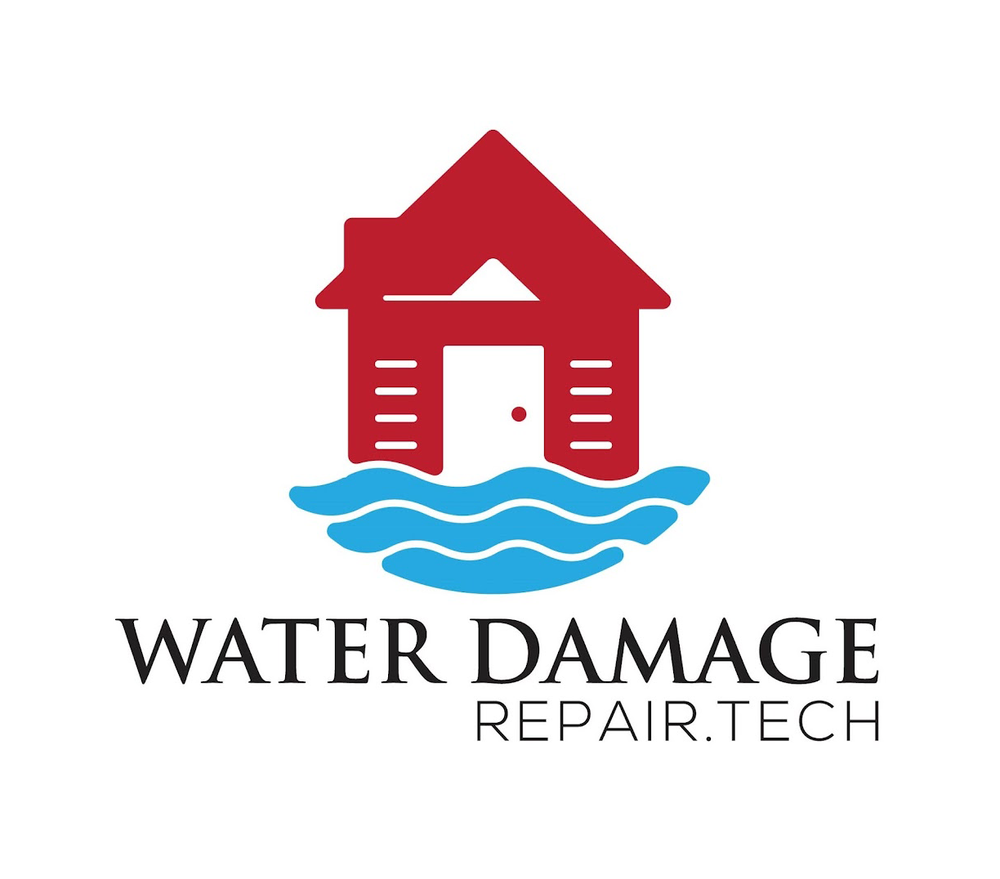 Photo of Water Damage Repair Tech