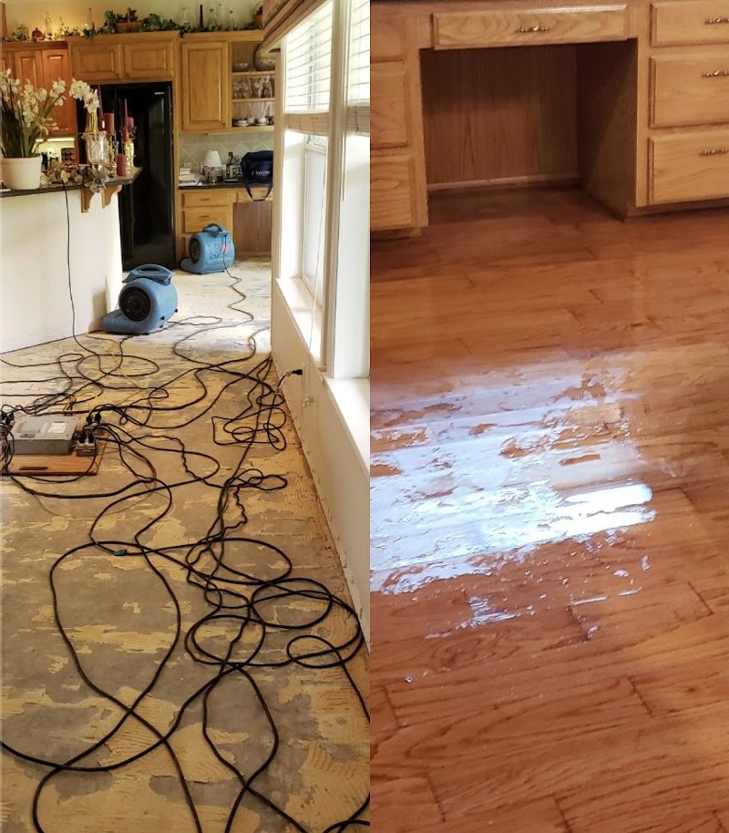Photo of Water Damage Repair Tech