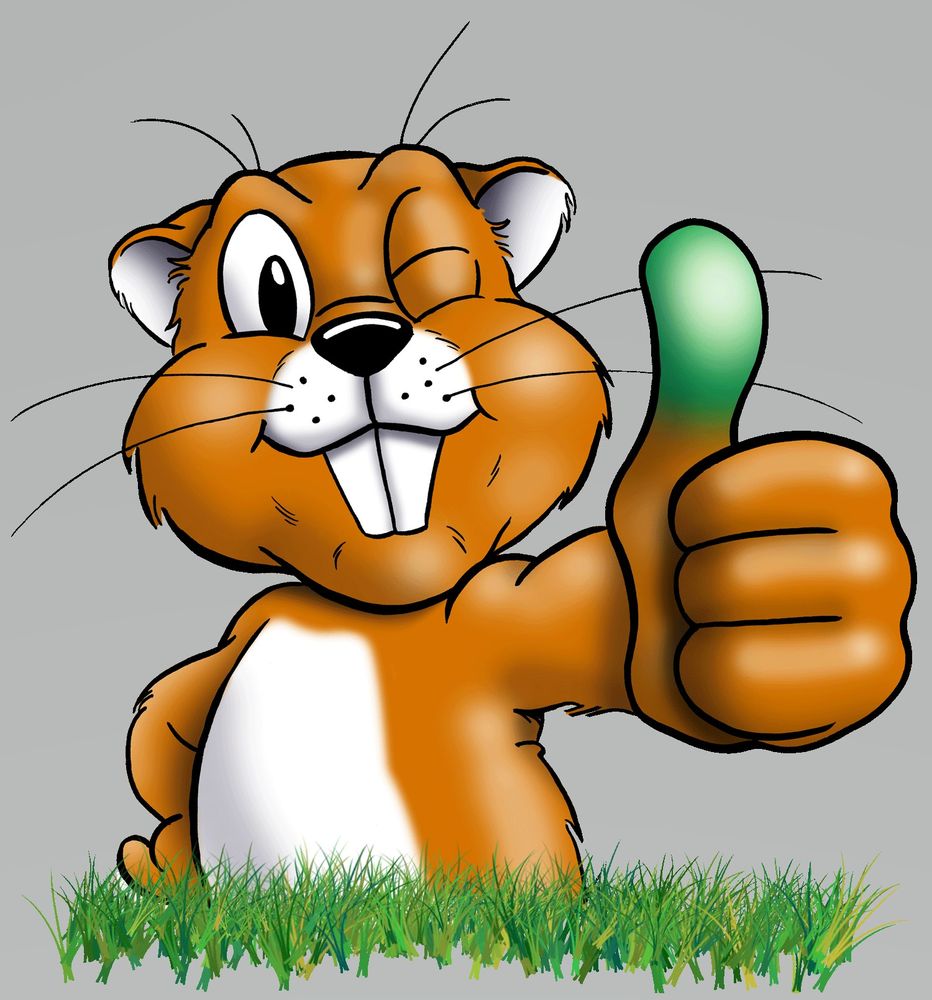 Photo of Second Nature Landscaping & Guaranteed Greener Grass