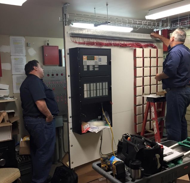 Photo of Signal Services