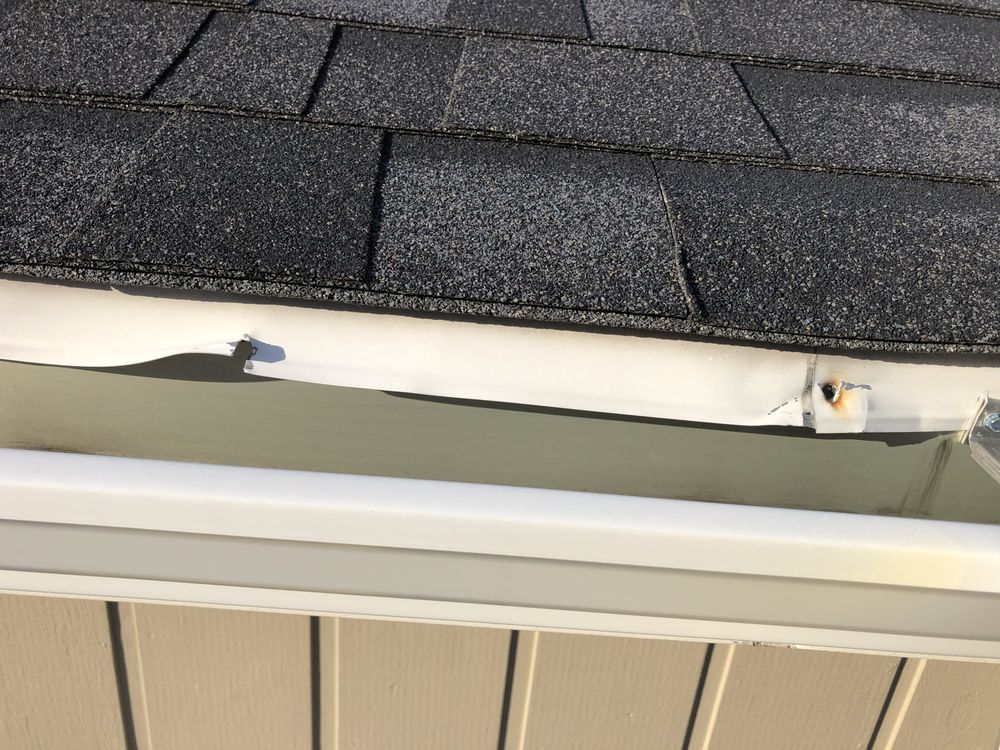 Photo of Vertex Restoration