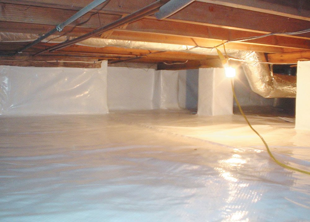 Photo of Mold Restore24