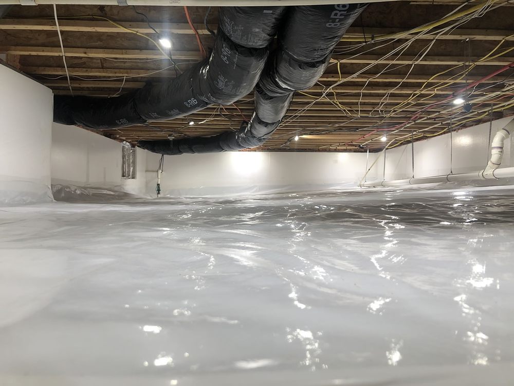 Photo of Mold Restore24