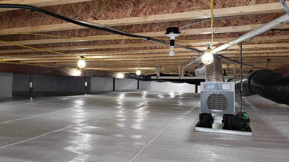Photo of Mold Restore24
