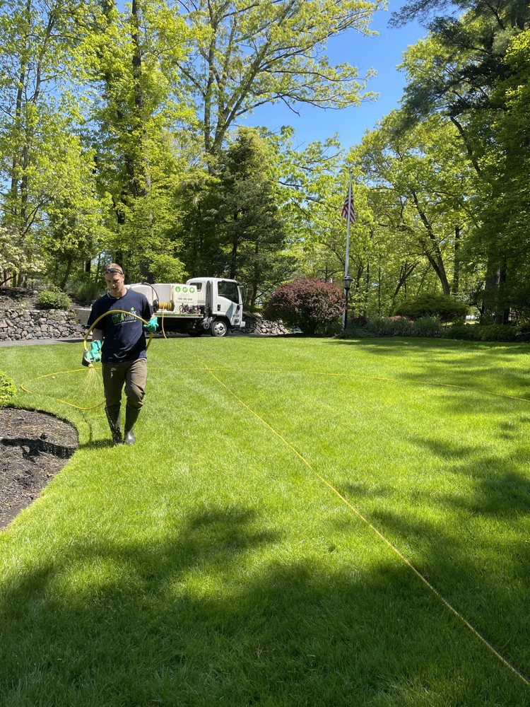 Photo of GreenStripe