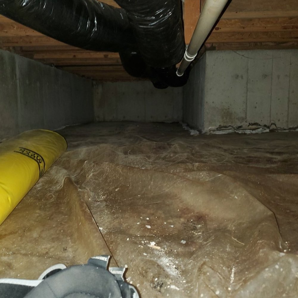 Photo of Midwest Carpet & Duct Cleaning/Midwest Restoration