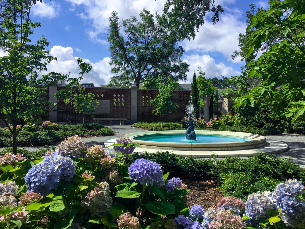 Photo of Basnight Land & Lawn Inc