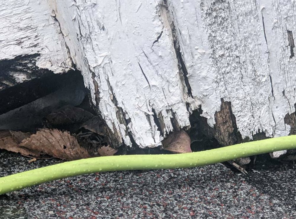 Photo of Premier Professional Inspections