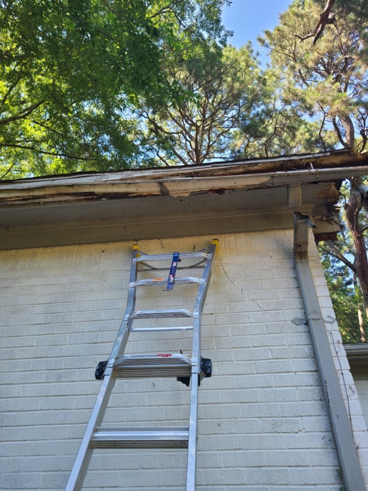 Photo of Mike Todd Light Home Maintenance