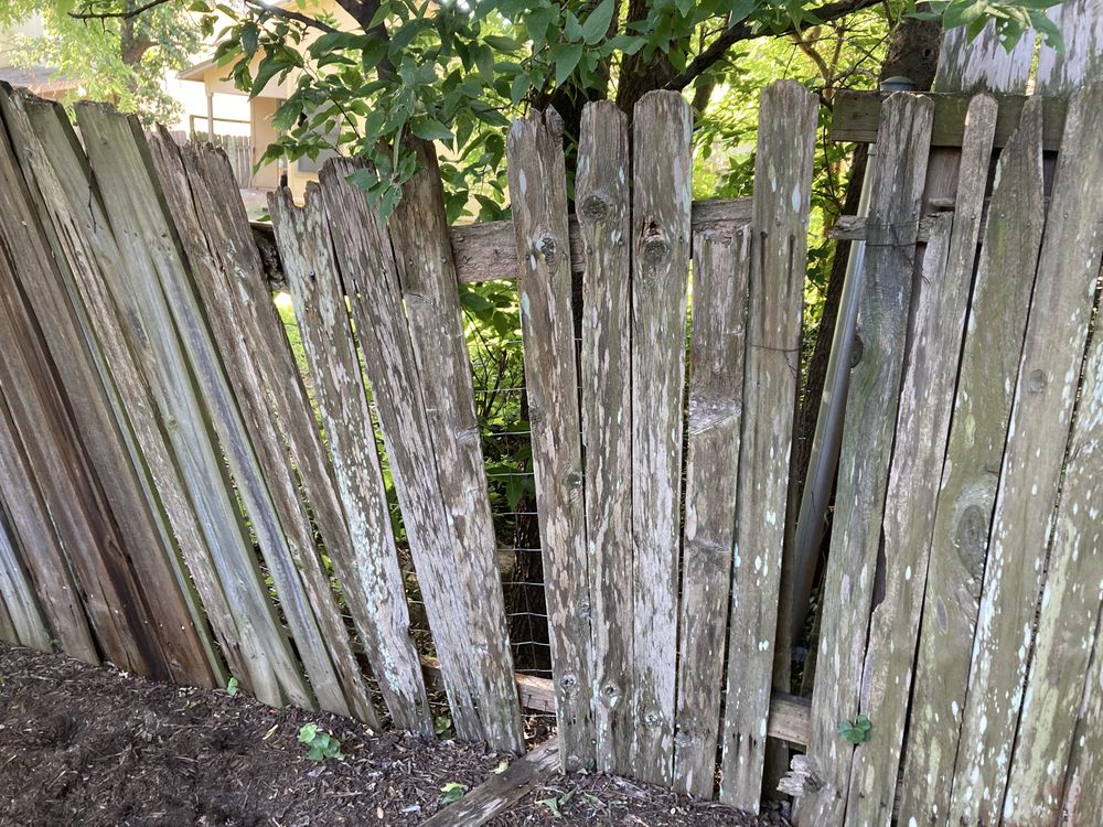 Photo of Samuel Decks & Fence