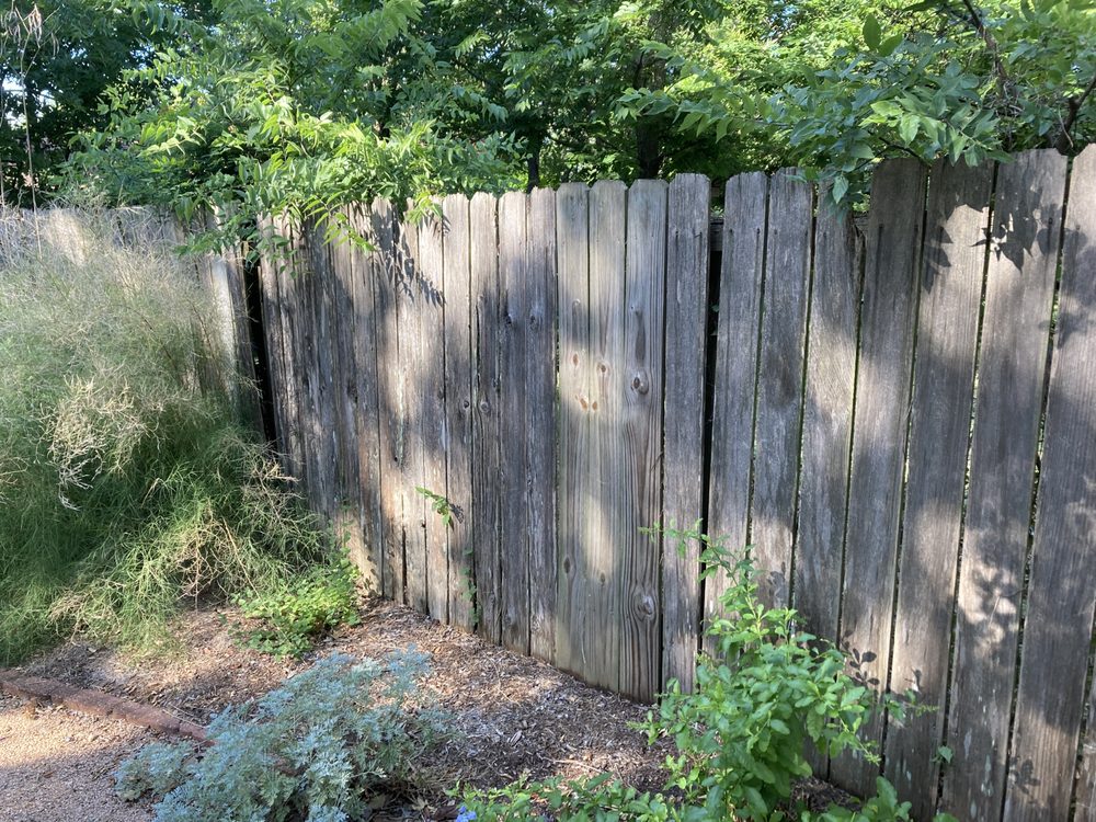 Photo of Samuel Decks & Fence
