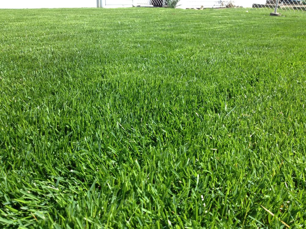 Photo of TML Mowing Company