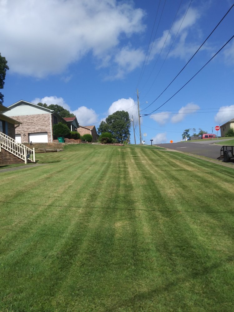 Photo of Precise Lawn Care
