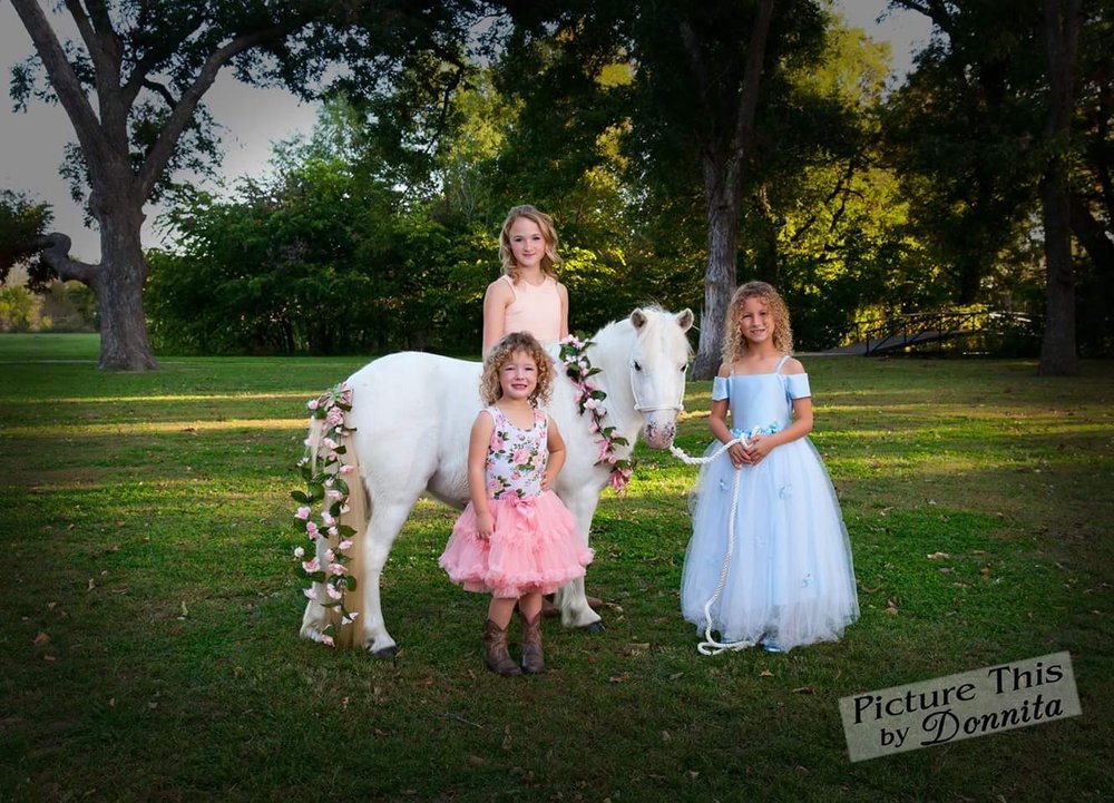 Photo of Dreamcatcher Party Pony's