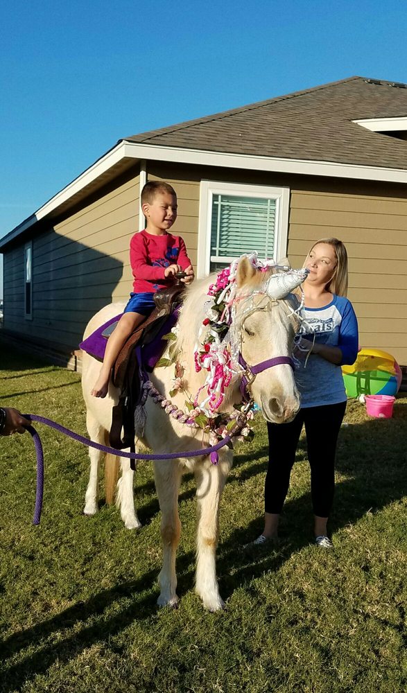 Photo of Dreamcatcher Party Pony's