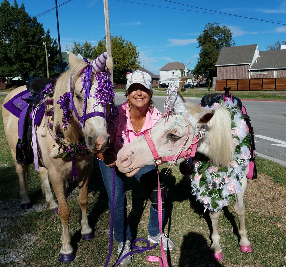 Photo of Dreamcatcher Party Pony's