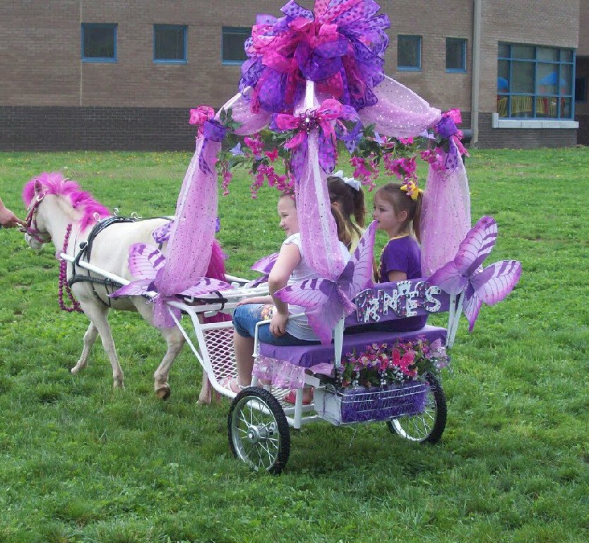 Photo of Dreamcatcher Party Pony's