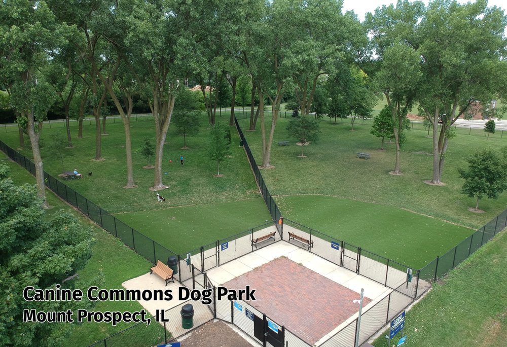 Photo of Perfect Turf