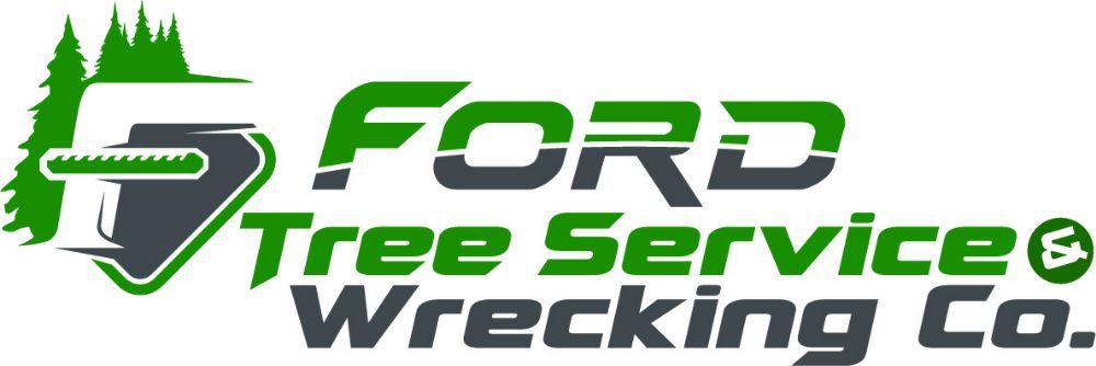 Photo of Ford Excavating and Tree Service