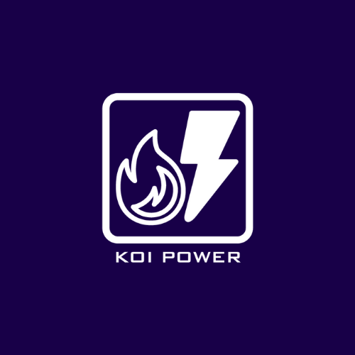 Photo of KOICOMS Business Solutions