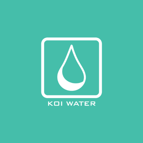 Photo of KOICOMS Business Solutions