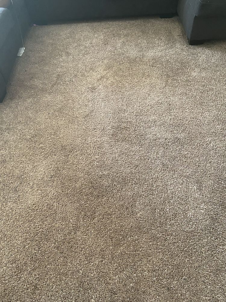 Photo of Oxi Fresh Carpet Cleaning