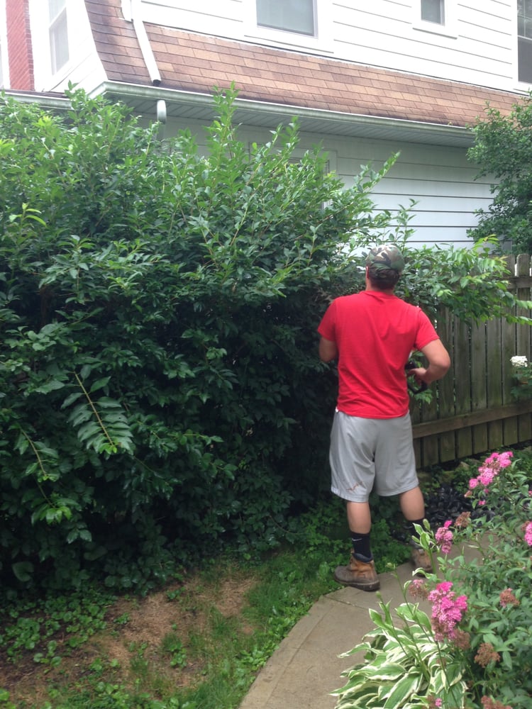 Photo of TNT Landscaping