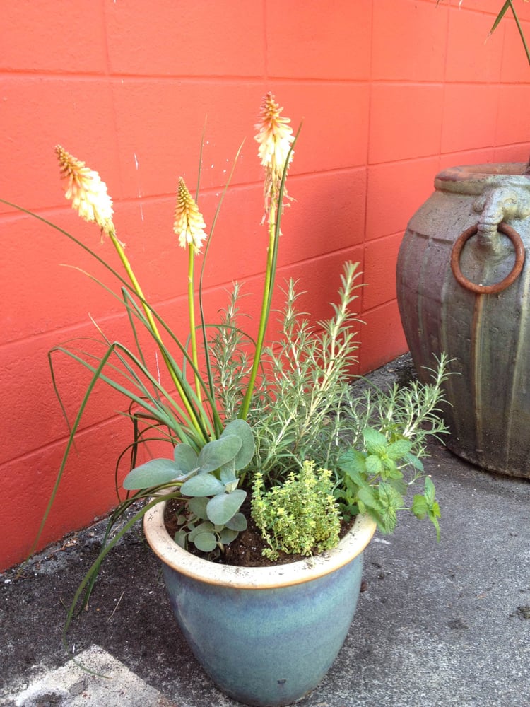 Photo of Soundscape Tree & Garden