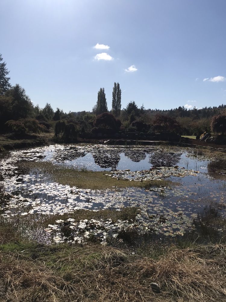Photo of Yang's Botanical Gardens