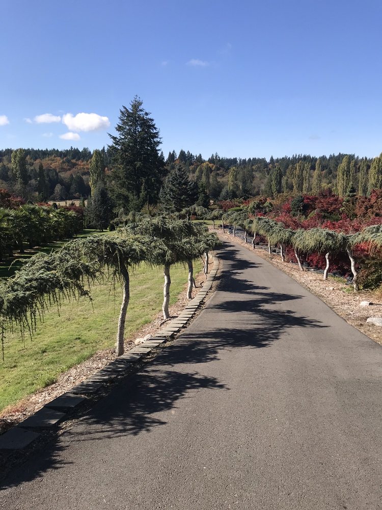 Photo of Yang's Botanical Gardens