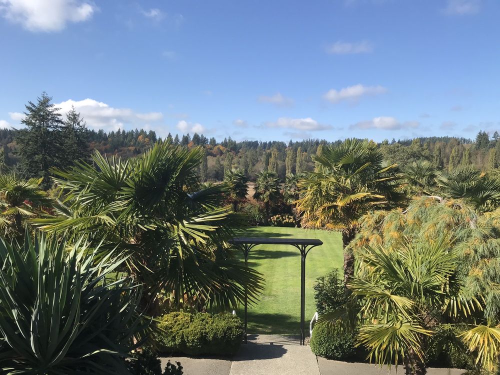 Photo of Yang's Botanical Gardens