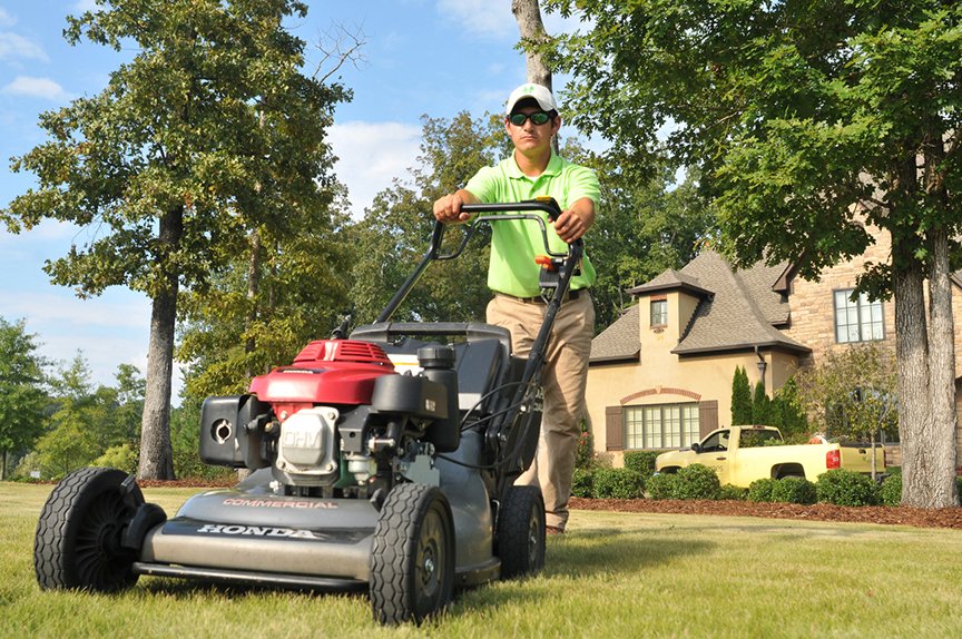 Photo of Waynes Pest Control