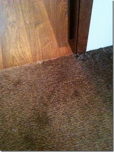 Photo of Totally Floored Carpet Cleaning